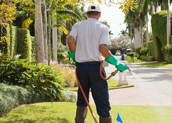 About Pipestem WV Pest Control